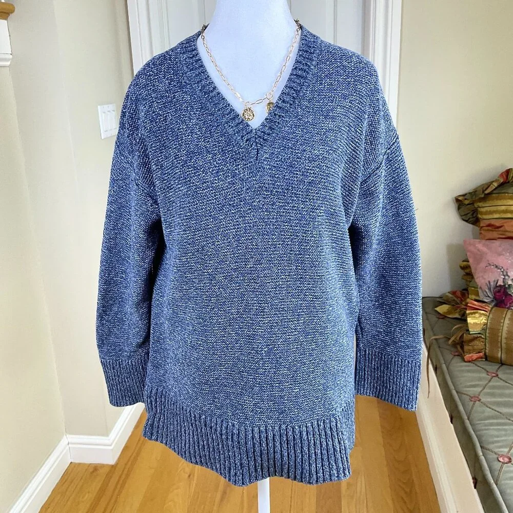 Everlane Sweater Cotton V-Neck Blue Marled (S)